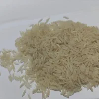 برنج فجر سوزنی 90 روزه