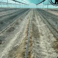 فروش گلخانه