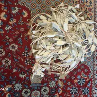 ادبتورریسه شلنگی سالم و تمیز و نو