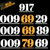 917.009.69.29