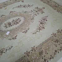قالی سلیمان