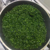 سبزیجات پونه