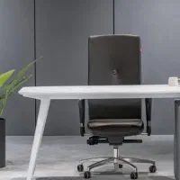 استخدام دفتر دار