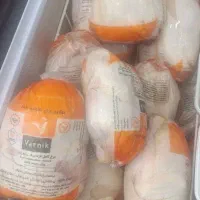 مرغ گرم کیلویی 300 ت