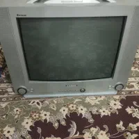 تلویزیون