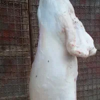 سلاخ و قصاب