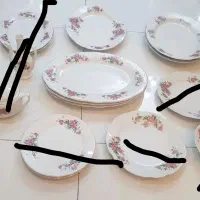 سرویس گل سرخی