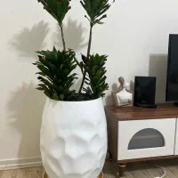 گلدان بزرگ و گل کامپکت