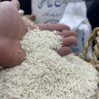 فروش انواع برنج