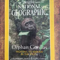 مجله NATIONAL Geographic|مجلات|مشهد, امام خمینی|دیوار