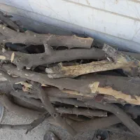چوب نارنج