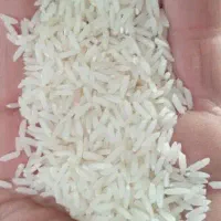 برنج هاشمی اعلا تک محصول
