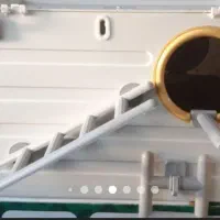 لونه پرنده