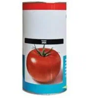 بذر گوجه فرنگی مبیل جینا موبیل ارگون هلند اصلی