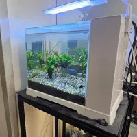 اکواریوم دلسا بک سامپ b102
