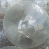 تنگ شیشه ای گرد ماهی