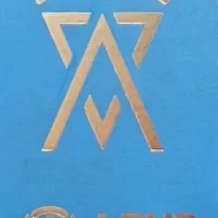 استخدام نیروی کار آقا (تعویض لنت)