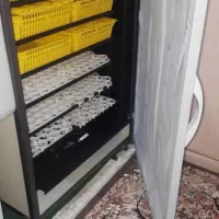 دستگاه جوجه کشی 510تایی
