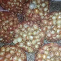 پیاز|خدمات باغبانی و درختکاری|دزفول, |دیوار