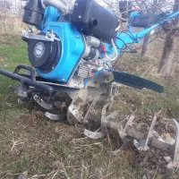 شخم زنی پای درختان وباغات