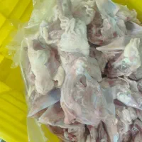 غذای سگ اسکلت گردن