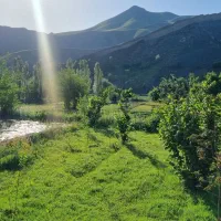 اجاره-اپارتمان-ویلایی