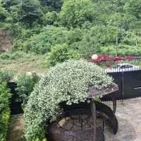 ۵ خوابه استخردار  باسونا عمارت اکباتان