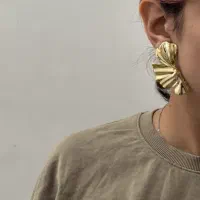 گوشواره،اکسسوری
