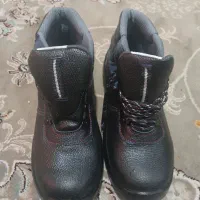 کفش کارایمنی
