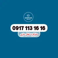 0917.113.16.16