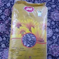 تخمه