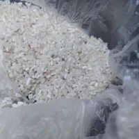 نیم دانه برنج فجر سوزنی
