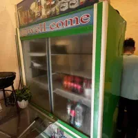 یخچال ** زرین **دو در