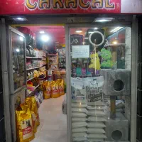 مغازه واقع در صادقیه ۲۴متر