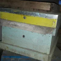 کندو زنبور