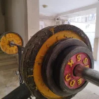 هالتر و وزنه