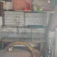 قفس پرنده