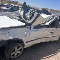 سمند تصادفی