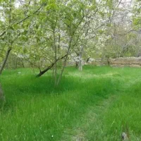 باغ روستای رشوانلو