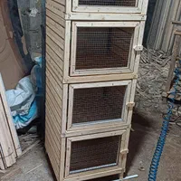 لانه کبوتر جفتگاه