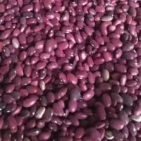 لوبیا قرمز