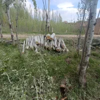 خرید چوب