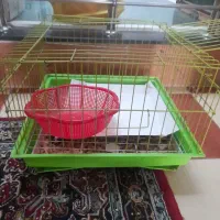 قفس خرگوش.قفس پرنده. ناخن گیر