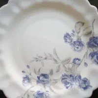 آرکوپال