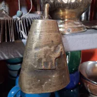 زنگوله