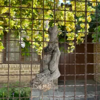 ویلایی-کلنگی-بافت-اصلی-جهانشهر