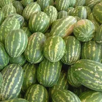 هندوانه