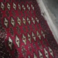 قالی ۷۰۰ شانه فیروزه ای