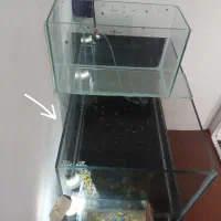 اکواریوم