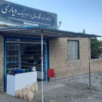 ظروف سرامیکی
